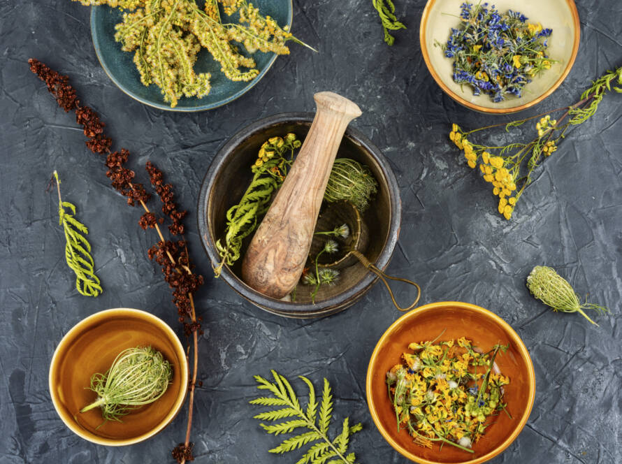 Heilkräuter der Phytotherapie und TEN