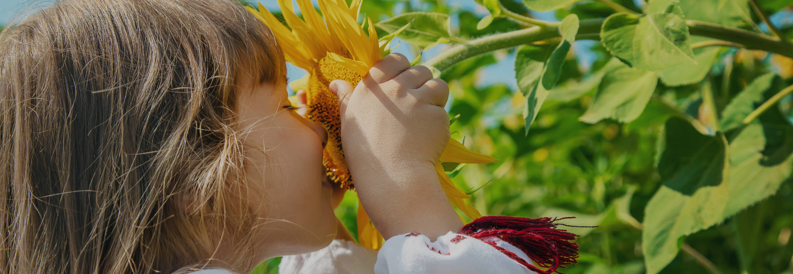 Kind mit Sonnenblume