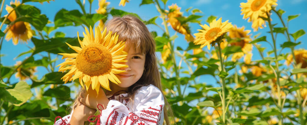 Kind steht in einem Sonnenblumenfeld